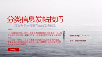 深圳撲來(lái)貓小湖科技推廣軟件 功能、試用與價(jià)格全面解析