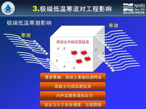 科技賦能未來(lái) 第六屆新技術(shù)推廣會(huì)掀起創(chuàng)新熱潮